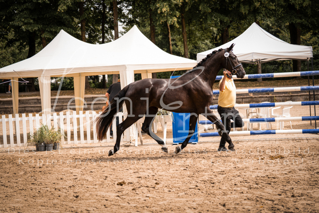 5.Fr00016 | Leoni Ertmer Photography - Realisiert mit Pictrs.com