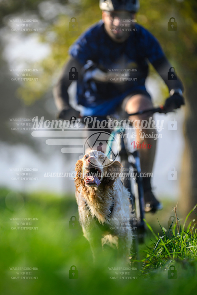 MompixPhotography_20TSB_E3_Bike-161 | PayLife