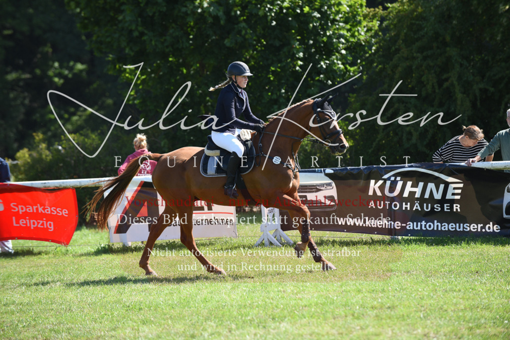 DSC_9228 | Pferde- und Turnierfotografie in Westsachsen. Pferdeportraits, Auftragszeichnungen und intuitive Kunst.
