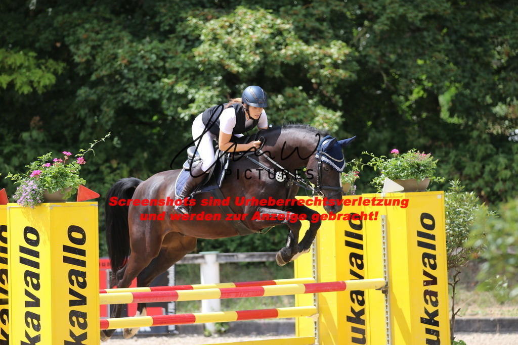 IMG_0035 | lmwpictures - Realisiert mit Pictrs.com