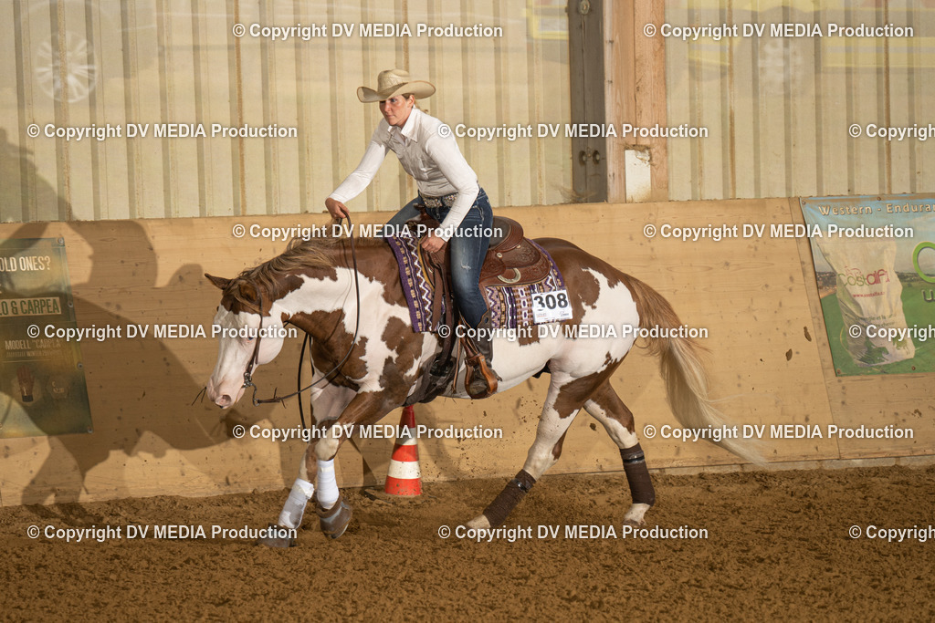 LAU00473 | dv-media-shop - Realisiert mit Pictrs.com