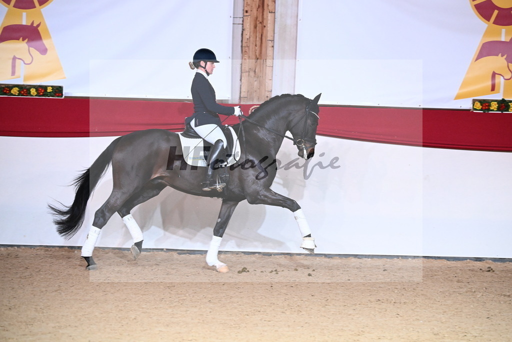 San__Haug_2254521 | hf-fotografie - Realisiert mit Pictrs.com