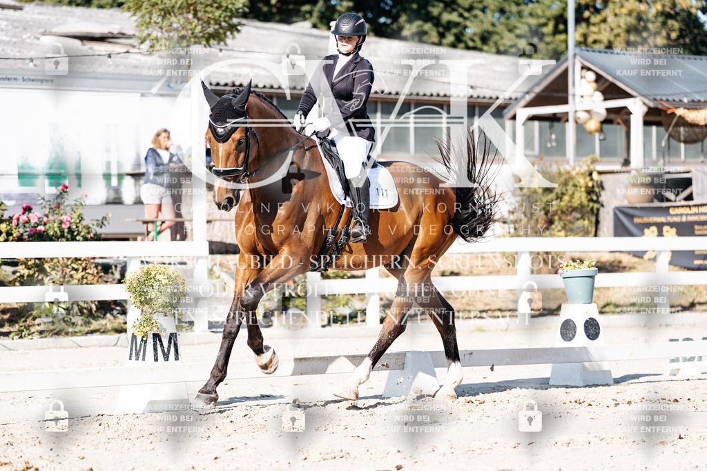 CK907681 | Turnierfotografie Pferdefotografie Trier Rheinland-Pfalz Pferdesport Reitsport Tierfotografie Sportfotografie Pferdevideo Pferdevideografie Equestrianvideography equestrianphotography  - Realisiert mit Pictrs.com