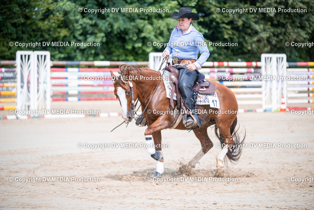 ZS3_5267 | dv-media-shop - Realisiert mit Pictrs.com