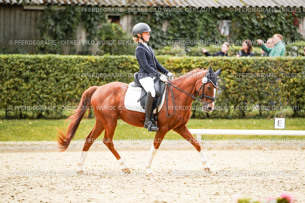 DSC00556 | Pferdegrafie