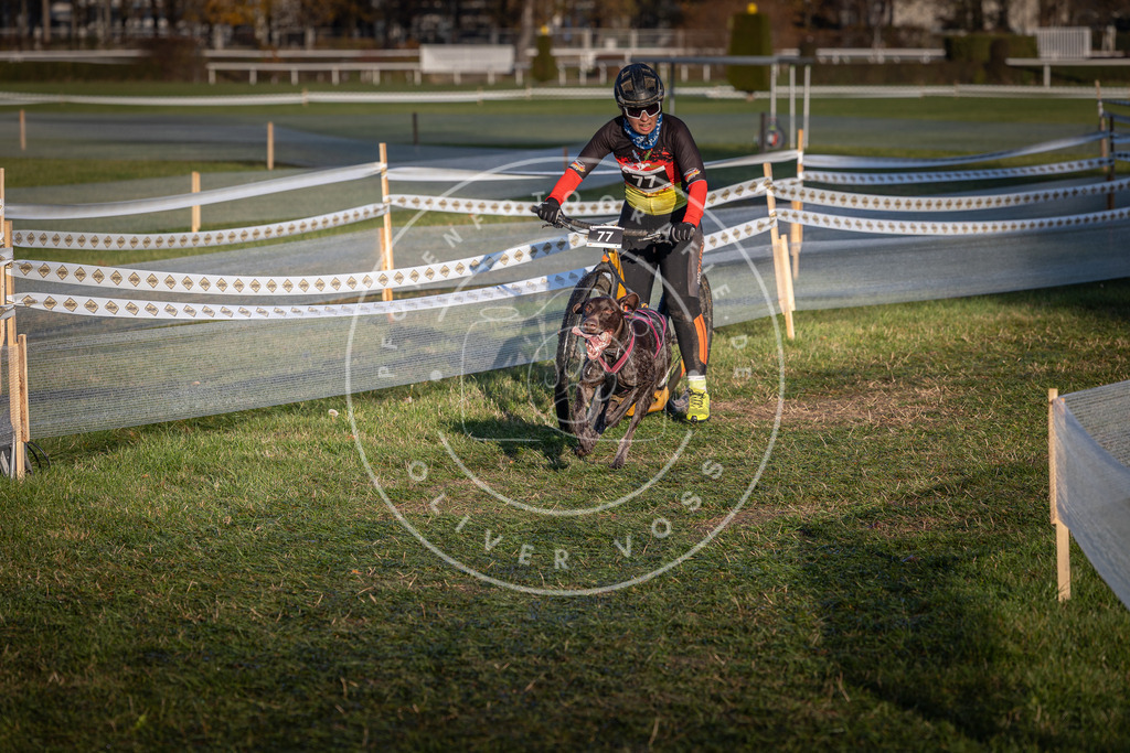 CaniXpix_0L8A3626 | Hundefotografie, Tierfotograf, Pfotenfotografie, Fotoshooting Hund, Hunde Portrait, Hundesport, Hundeportraits, Heideshooting, Hunde, Sportfotograf, Hundefotograf, Turnierhundsport, THS,  - Realisiert mit Pictrs.com