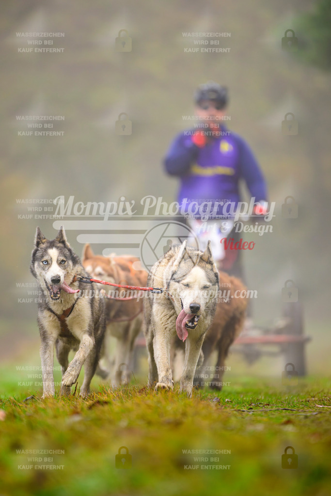 MompixPhotography_Bischwiller2025_Kart-38 | mompixphotography