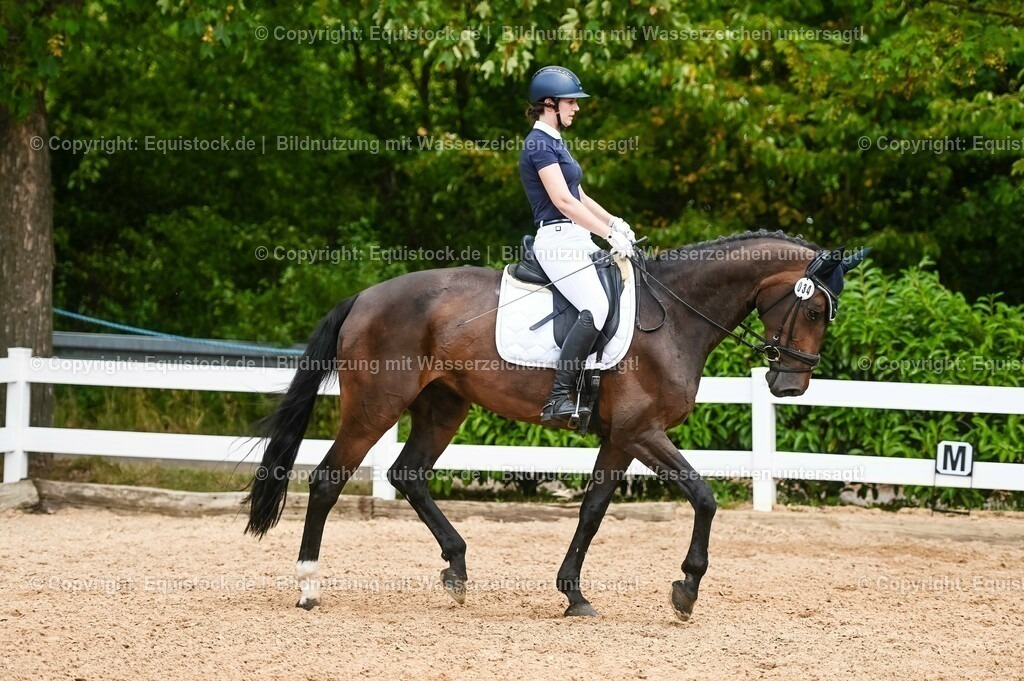 20230715_05_Dressurprüfung Kl.A++_0207 | equistock