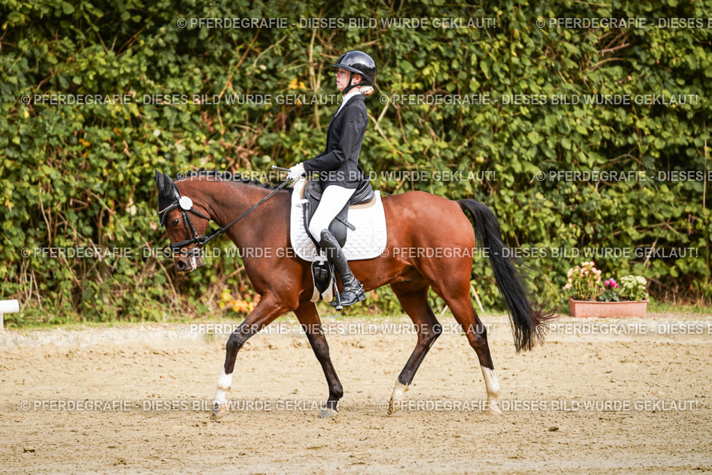 DSC09739 | Pferdegrafie