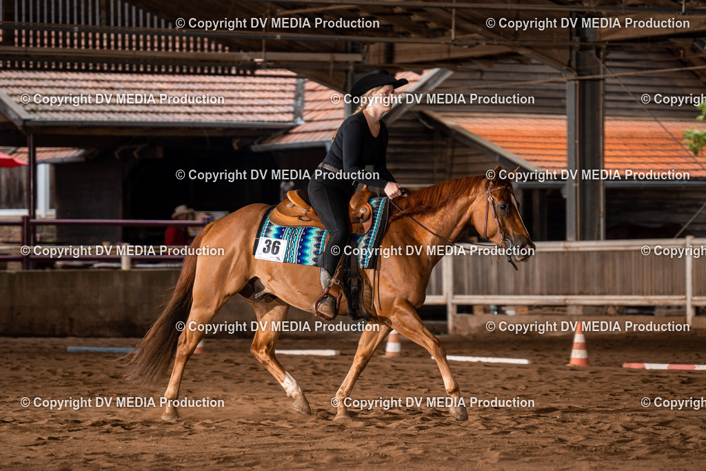 Erbach Tag 2-268 | dv-media-shop - Realisiert mit Pictrs.com