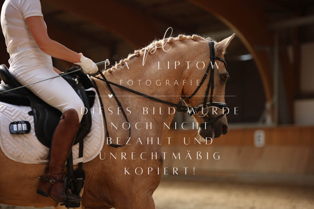 IMGS2846 | pl-fotografie