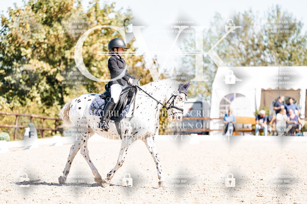 CK904150 | Turnierfotografie Pferdefotografie Trier Rheinland-Pfalz Pferdesport Reitsport Tierfotografie Sportfotografie Pferdevideo Pferdevideografie Equestrianvideography equestrianphotography  - Realisiert mit Pictrs.com