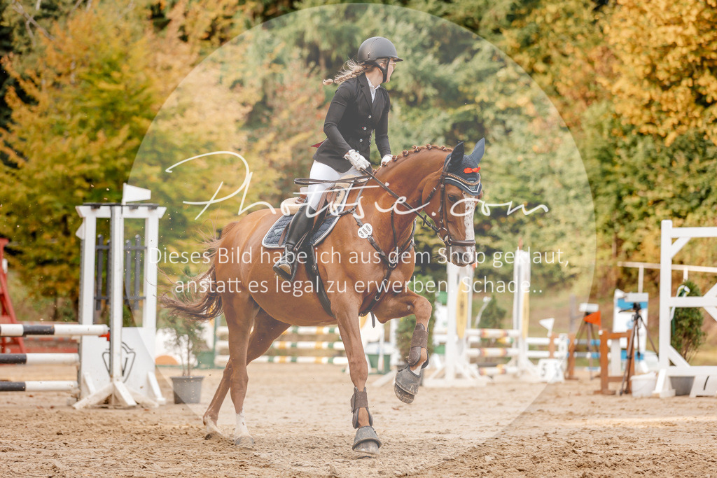 3I6A2743 | Stimmungsvolle Portraits und Reitsportfotografie im Ruhrgebiet und im Münsterland.

Pferdefotografie, Hundefotografie, Tierfotografie, Reportagen, Portraits von Tier und Mensch, Turnierfotografie in Bochum, Recklinghausen, Marl, Haltern am See, Dülmen.. - Realisiert mit Pictrs.com