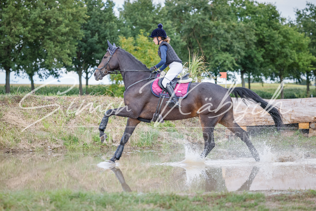 20250905-_3LI1922 | Tierfotografie Pferde, Hunde, Katzen, Haustiere.
Turnierfotografie Reitturniere, Reiten, Springreiten, Dressur in Hanau, dem Main-Kinzig-Kreis und dem Rhein-Main- Gebiet um Frankfurt