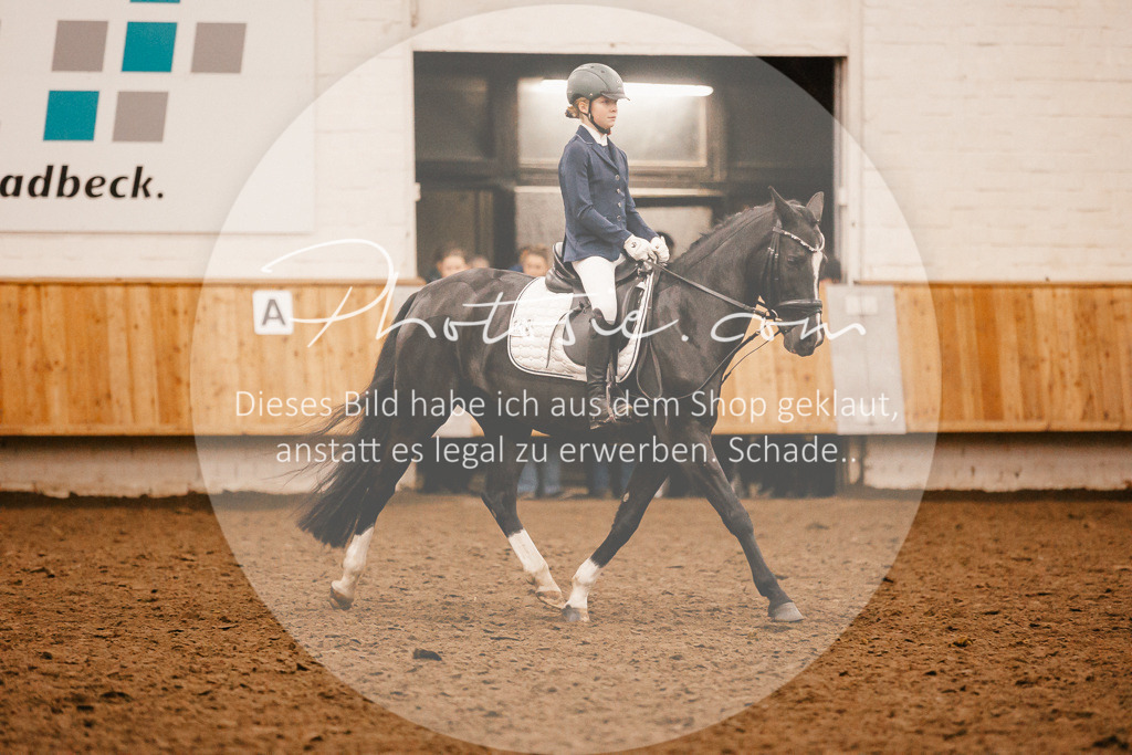 3I6A3816 | Stimmungsvolle Portraits und Reitsportfotografie im Ruhrgebiet und im Münsterland.

Pferdefotografie, Hundefotografie, Tierfotografie, Reportagen, Portraits von Tier und Mensch, Turnierfotografie in Bochum, Recklinghausen, Marl, Haltern am See, Dülmen.. - Realisiert mit Pictrs.com