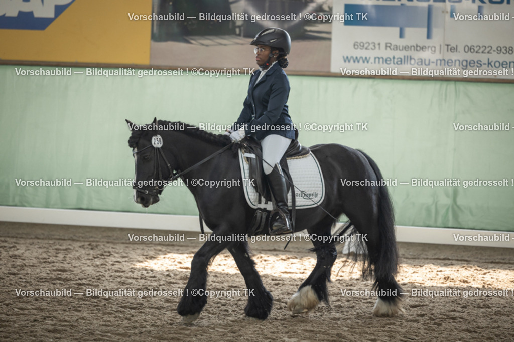 _D5A5517 | Emotionale Pferde- & People-Fotografie rund um Heidelberg, Leimen & Umgebung. Natürliche Fotos von Pferd, Mensch & Familie. Jetzt Termin sichern!