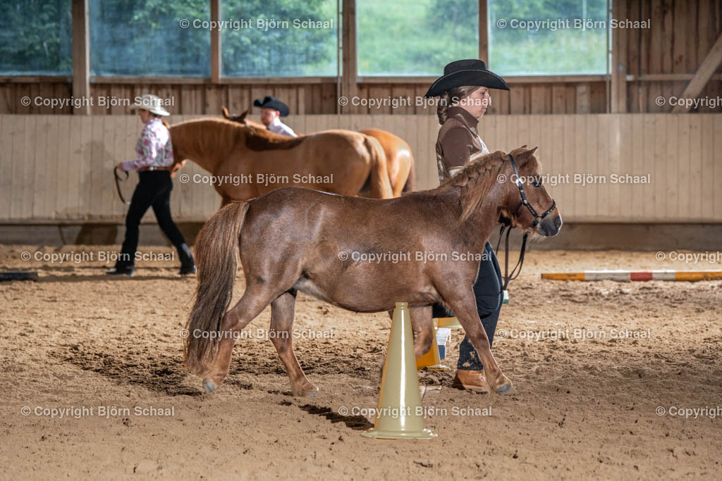 SBS03838 | BS-foto