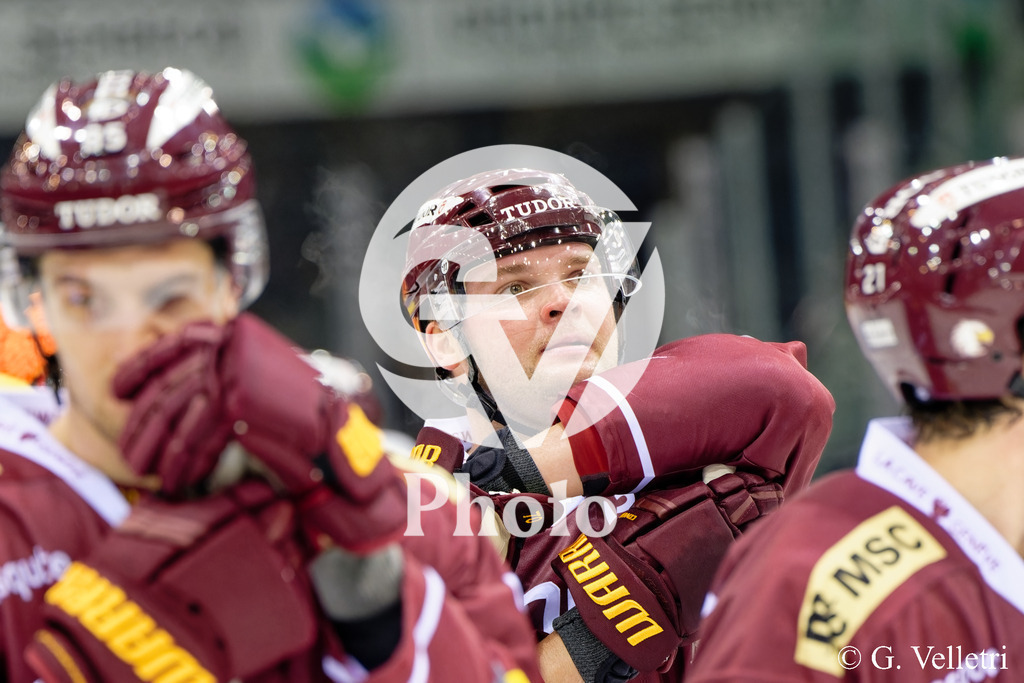 DSC_9331 | Velletri Photo