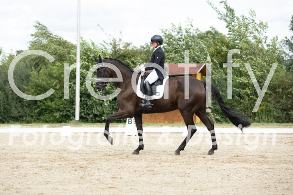 IMG_6844 | Creatify Fotografie