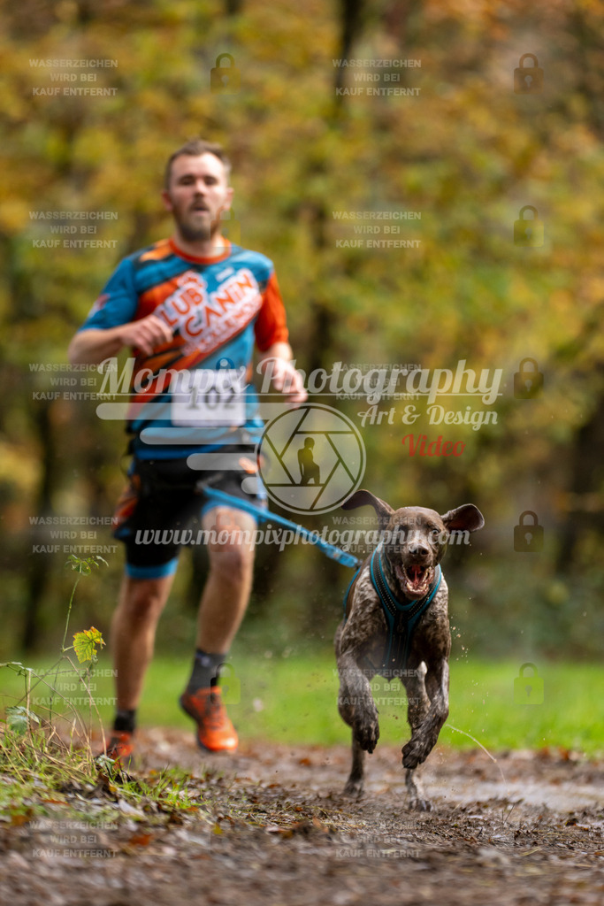 MompixPhotography_Bischwiller23_Canicross-46 | PayLife