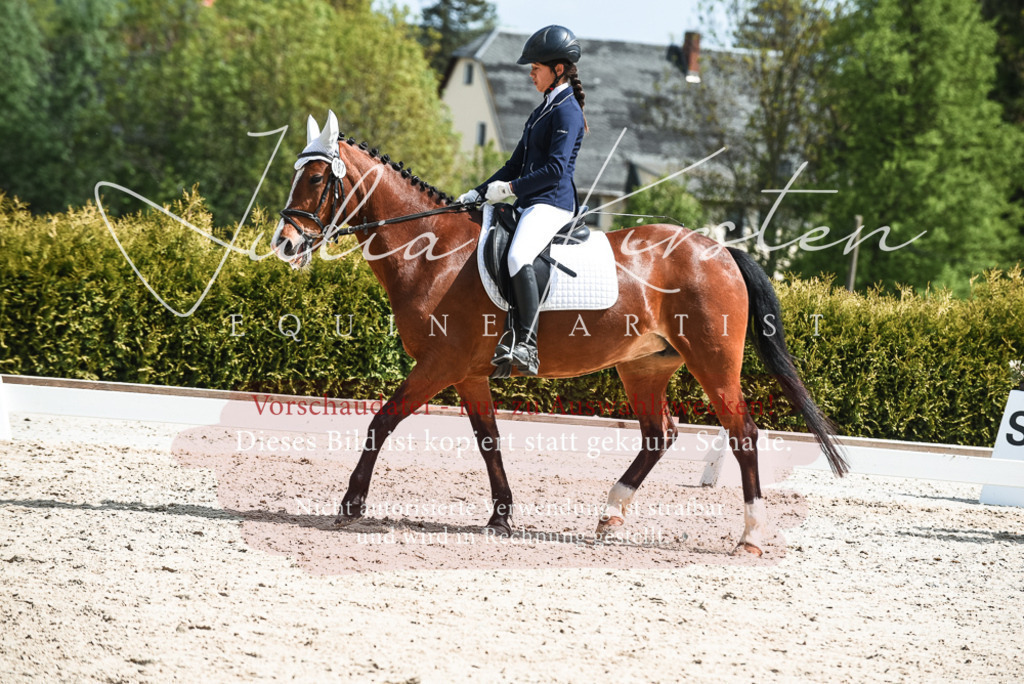 20230518_JK-Röhrsdorf-11-0722 | Pferde- und Turnierfotografie in Westsachsen. Pferdeportraits, Auftragszeichnungen und intuitive Kunst.