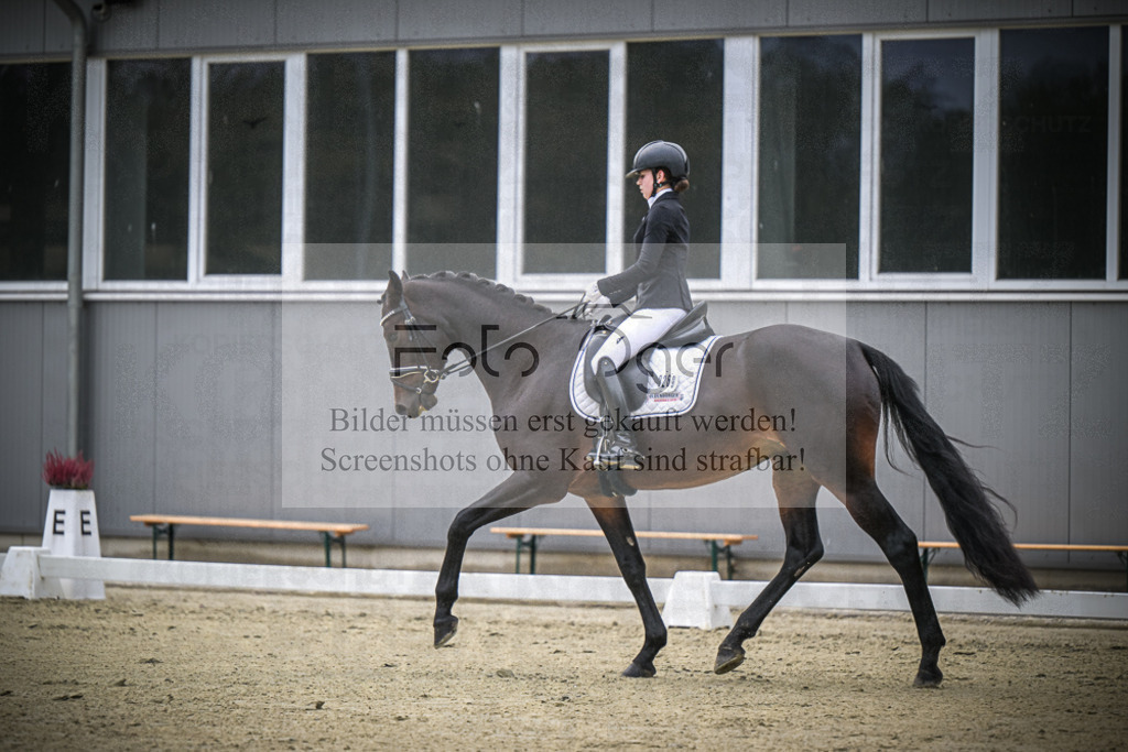DOS_0823 | Entdecke hochwertige Reitturnierfotos von Foto Oger. Professionell, emotional und authentisch – jetzt Lieblingsmomente im Shop bestellen.Deutschlandweite Turnierfotografie. - Realisiert mit Pictrs.com