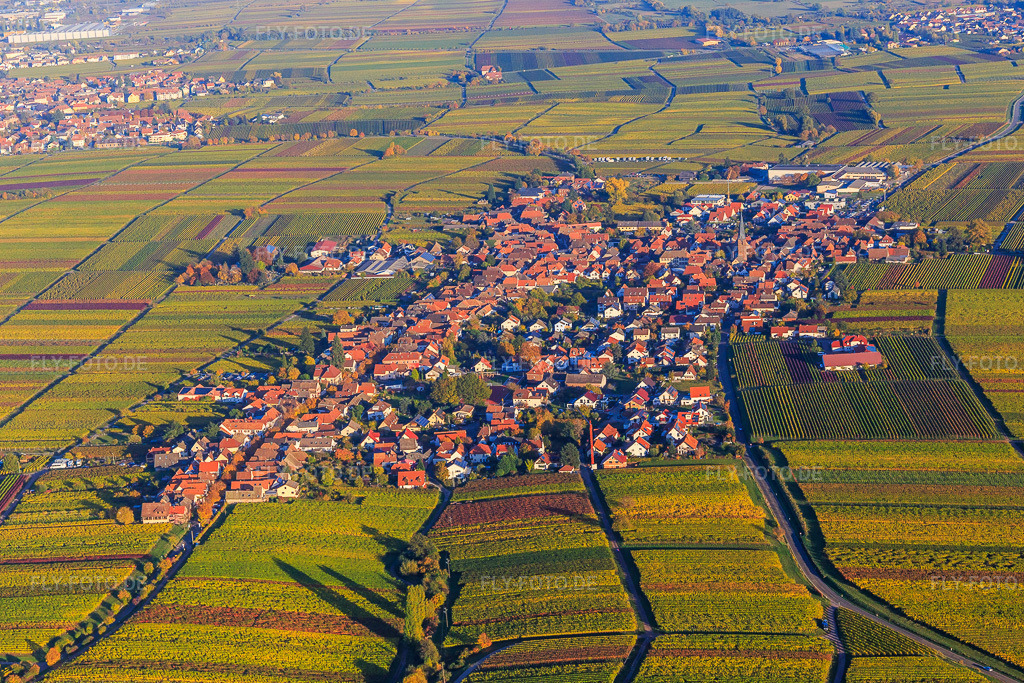 Luftbild: Winzerdorf zwischen herbstlich gefärbten Weinbergen aus Westen in Rhodt unter Rietburg im Bundesland Rheinland-Pfalz in Deutschland. Foto: IMG_095665.jpg vom 30.10.2016 durch Werner Riehm/FLY-FOTO.de