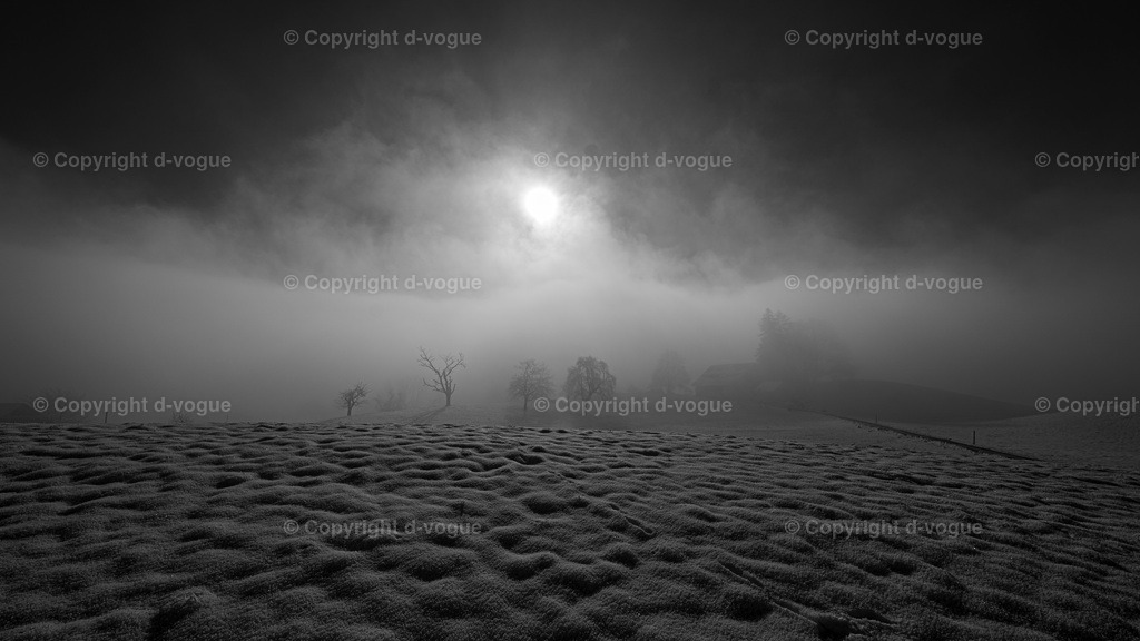 Hirzel | d-vogue - Realisiert mit Pictrs.com