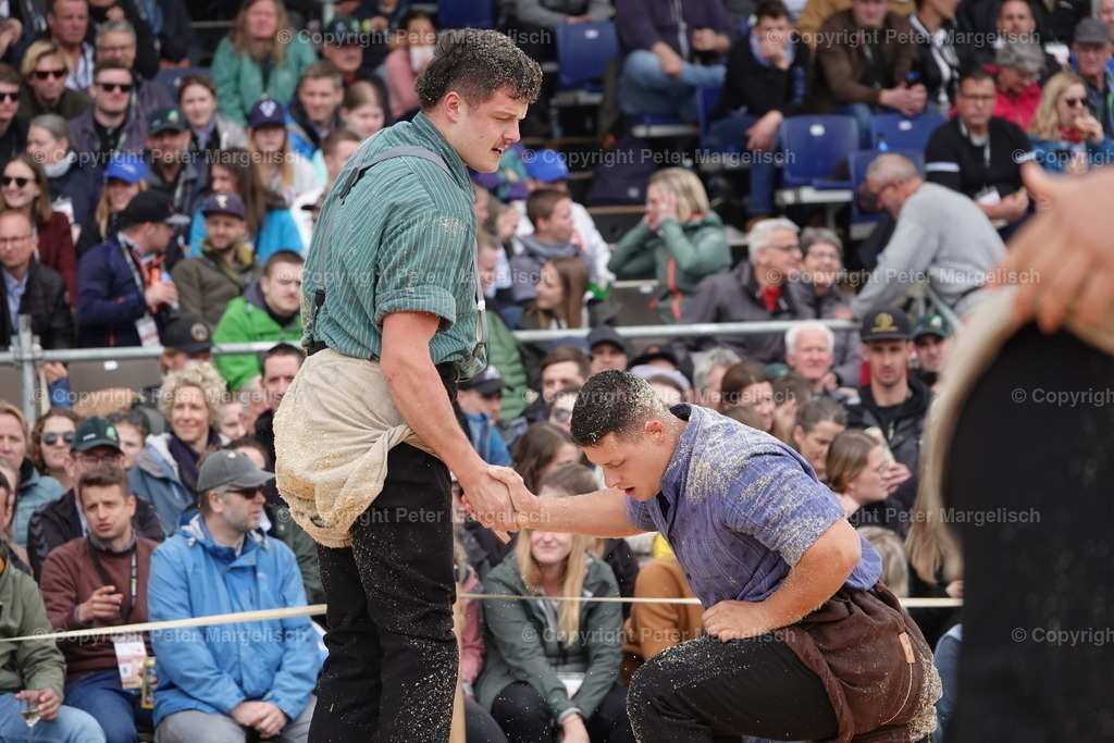 DSC03860 | Schwingen - Realisiert mit Pictrs.com