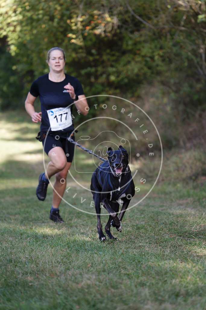 0L8A5525 | Hundefotografie, Tierfotograf, Pfotenfotografie, Fotoshooting Hund, Hunde Portrait, Hundesport, Hundeportraits, Heideshooting, Hunde, Sportfotograf, Hundefotograf, Turnierhundsport, THS,  - Realisiert mit Pictrs.com