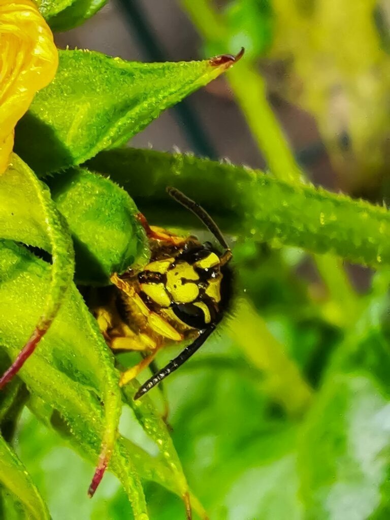 PSX_20220920_223914 | mtkfoto_ - Realisiert mit Pictrs.com