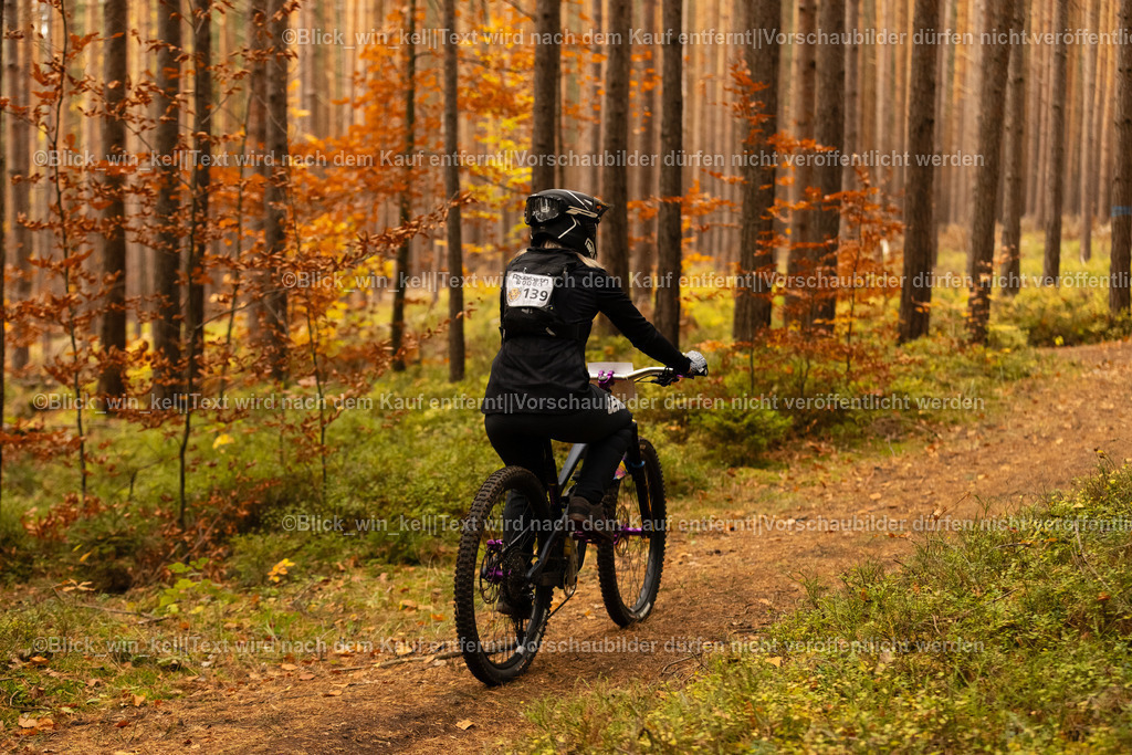 E68A3117 | blick_win_kel