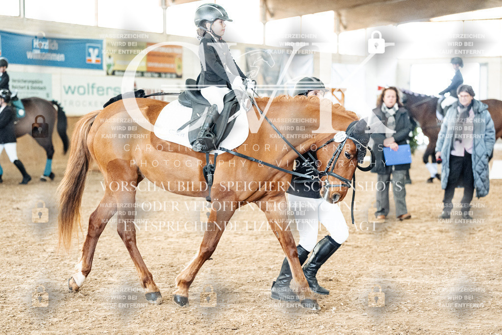 CK905578 | Turnierfotografie Pferdefotografie Trier Rheinland-Pfalz Pferdesport Reitsport Tierfotografie Sportfotografie Pferdevideo Pferdevideografie Equestrianvideography equestrianphotography  - Realisiert mit Pictrs.com