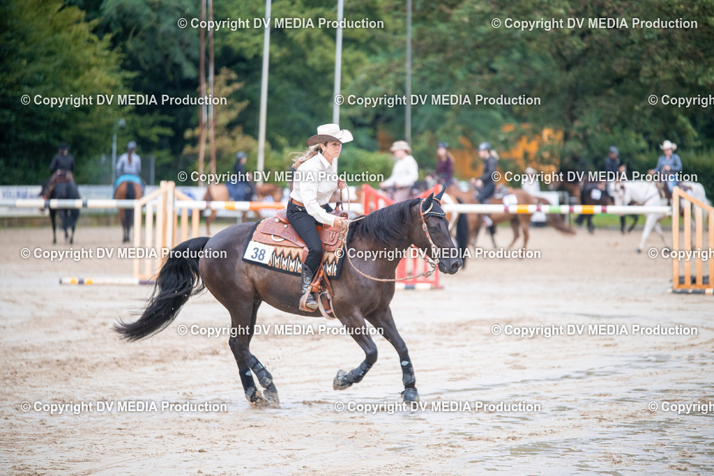 ZS2_4231 | dv-media-shop - Realisiert mit Pictrs.com