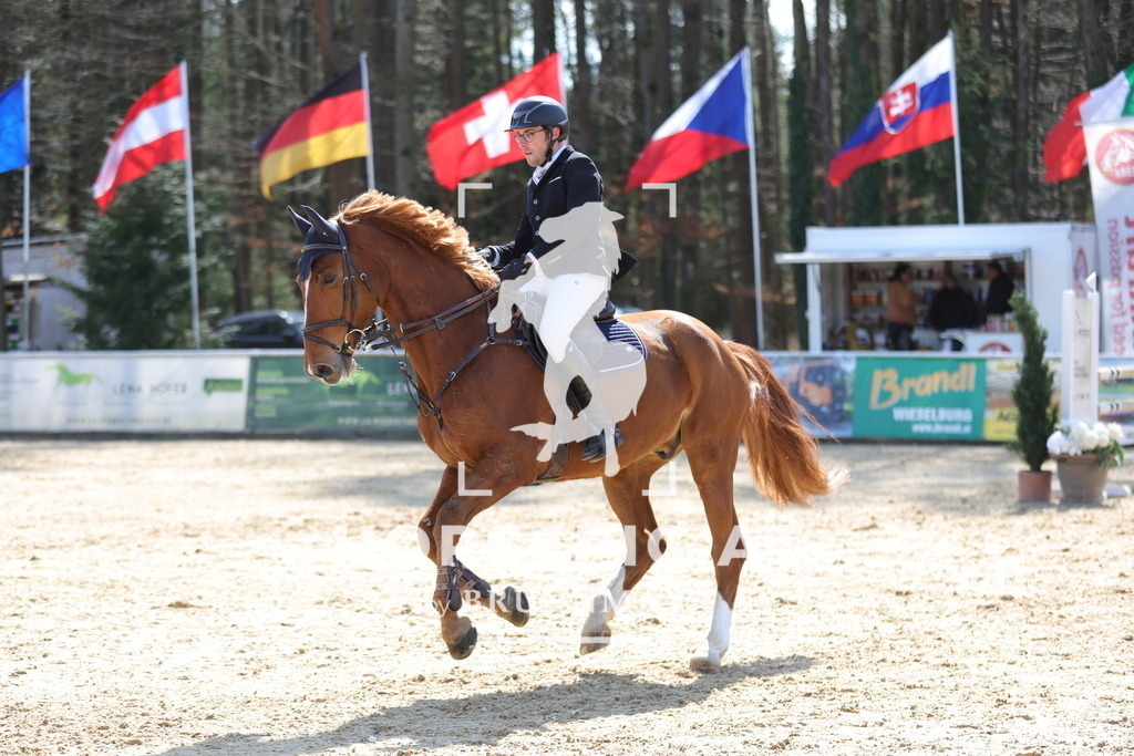 0P6A1220 | Willkommen bei Brunnmayr - Design & Fotografie – Ihrem Spezialisten für Reitturniere und Pferdeveranstaltungen in Oberösterreich, Salzburg und Bayern! Seit über 17 Jahren sind wir leidenschaftlich dabei.