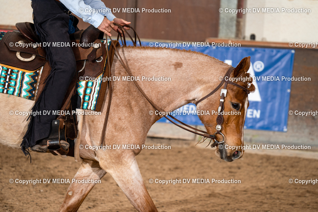 Heiligenwald Tag 2-142 | dv-media-shop - Realisiert mit Pictrs.com