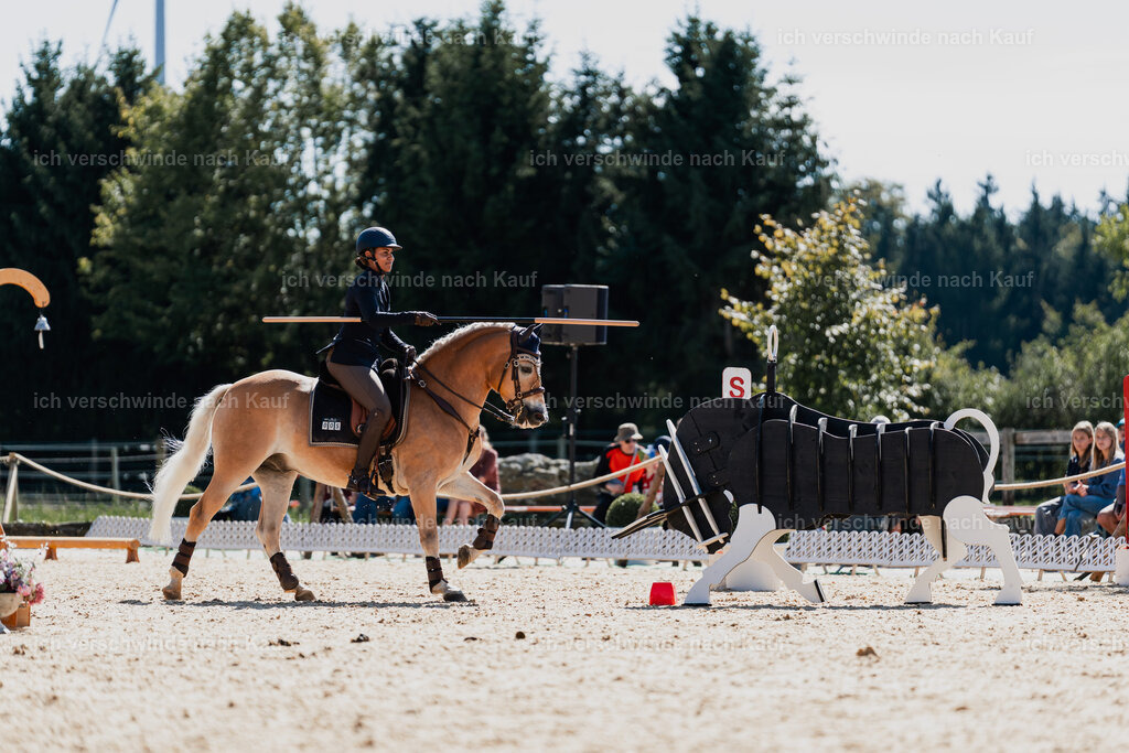 Tanesha5FHC2025-08809 | working equitationturnier fotograf videograf stoibphotography marixx film working equitation deutschland reitsport turnierfotografie eventfotografie equestrian events