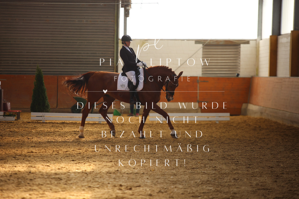 IMGT6970 | pl-fotografie