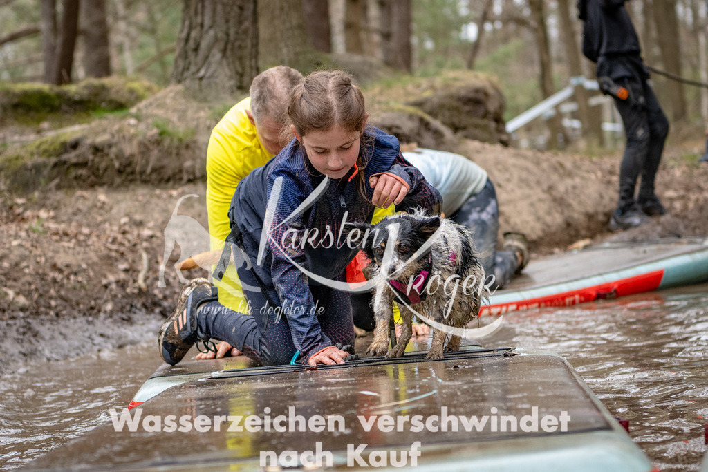1245DSC_7969-2 | kk-dogfotos