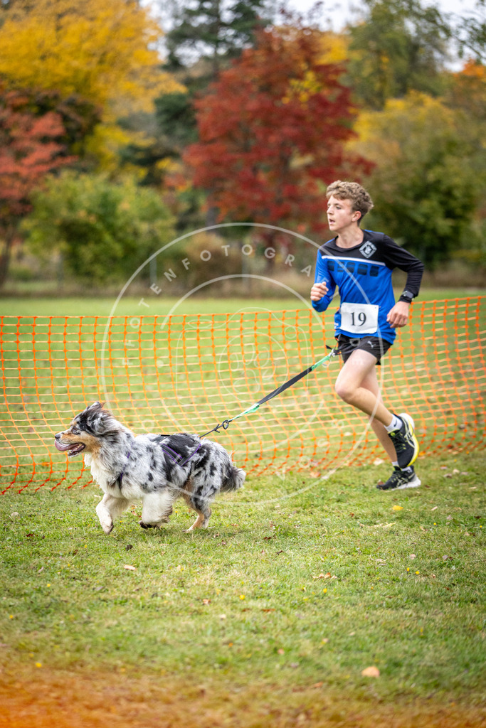 Pfotenfotografie_DV3A1927 | Hundefotografie, Tierfotograf, Pfotenfotografie, Fotoshooting Hund, Hunde Portrait, Hundesport, Hundeportraits, Heideshooting, Hunde, Sportfotograf, Hundefotograf, Turnierhundsport, THS,  - Realisiert mit Pictrs.com