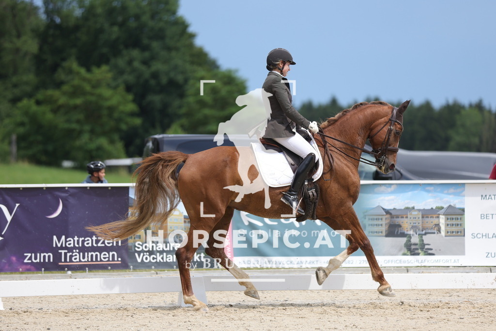 0P6A5428 | Willkommen bei Brunnmayr - Design & Fotografie – Ihrem Spezialisten für Reitturniere und Pferdeveranstaltungen in Oberösterreich, Salzburg und Bayern! Seit über 17 Jahren sind wir leidenschaftlich dabei.