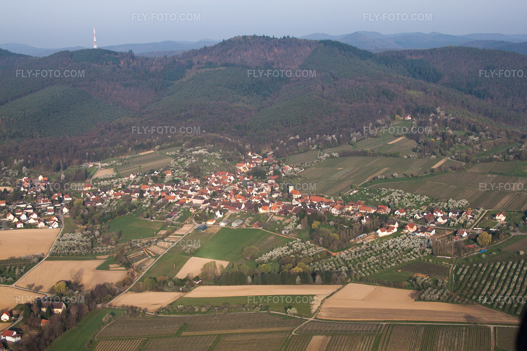 Aerial view: View of the town in Rott in the state Bas-Rhin, France.Photo: IMG_63662.jpg taken on 03/30/2014 by Werner Riehm/FLY-FOTO.comResolution of the original: 4752 x 3168 px
