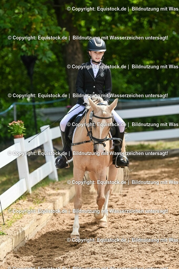 20230716_10-3_Reiter-WB Schritt - Trab - Galopp_0117 | equistock