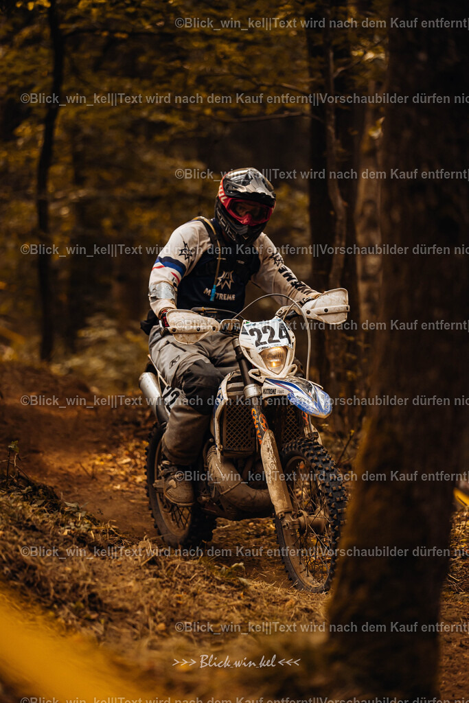 E68A3918 | blick_win_kel