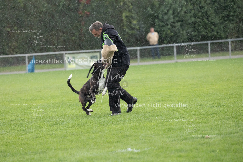_16A7171 | Einzigartige Fotos von Hunden & Menschen –Actionfotos, Portraits, Vereinsaufnahmen & Paarshootings – authentisch, lebendig & mit Herz.