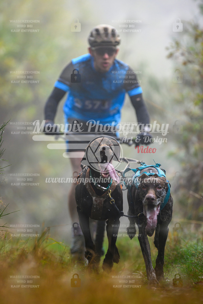 MompixPhotography_20TSB_E4_DS2-10 | PayLife
