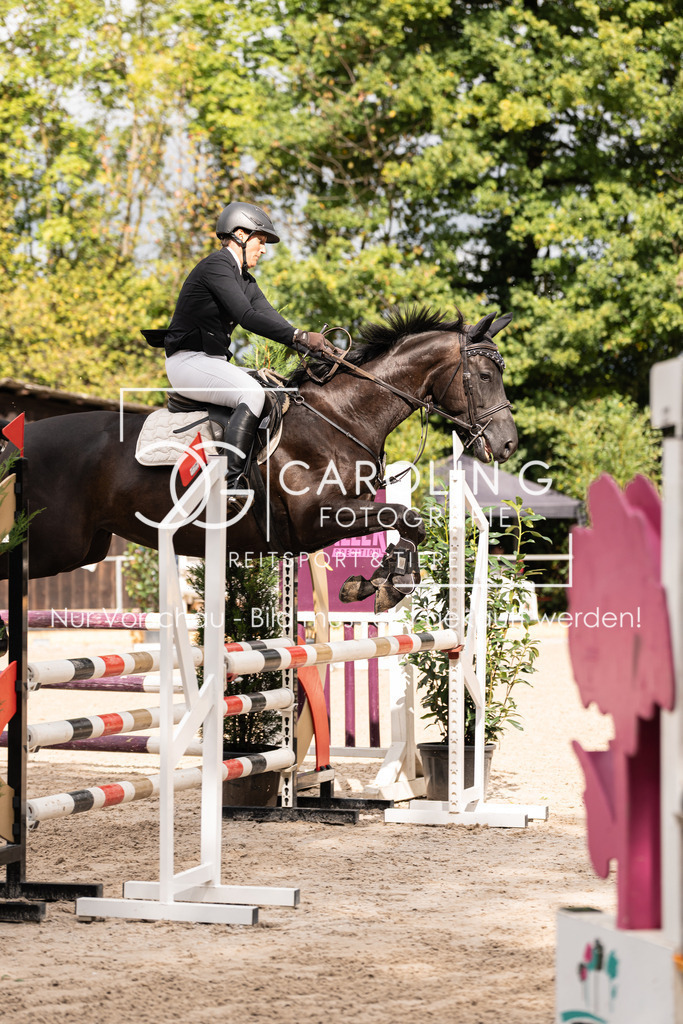 DSC03462 | Carolin Gieschke