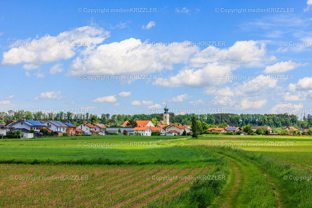 Tacherting | medienkrizzler - Realisiert mit Pictrs.com