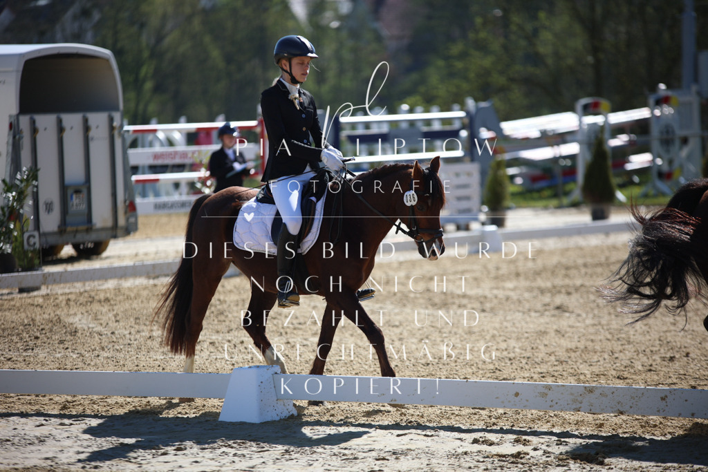 IMGT0237 | pl-fotografie