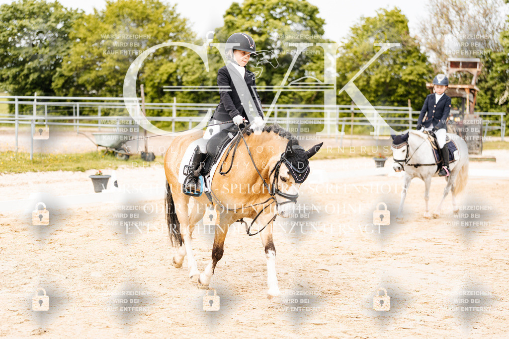 CK904529 | Turnierfotografie Pferdefotografie Trier Rheinland-Pfalz Pferdesport Reitsport Tierfotografie Sportfotografie Pferdevideo Pferdevideografie Equestrianvideography equestrianphotography  - Realisiert mit Pictrs.com